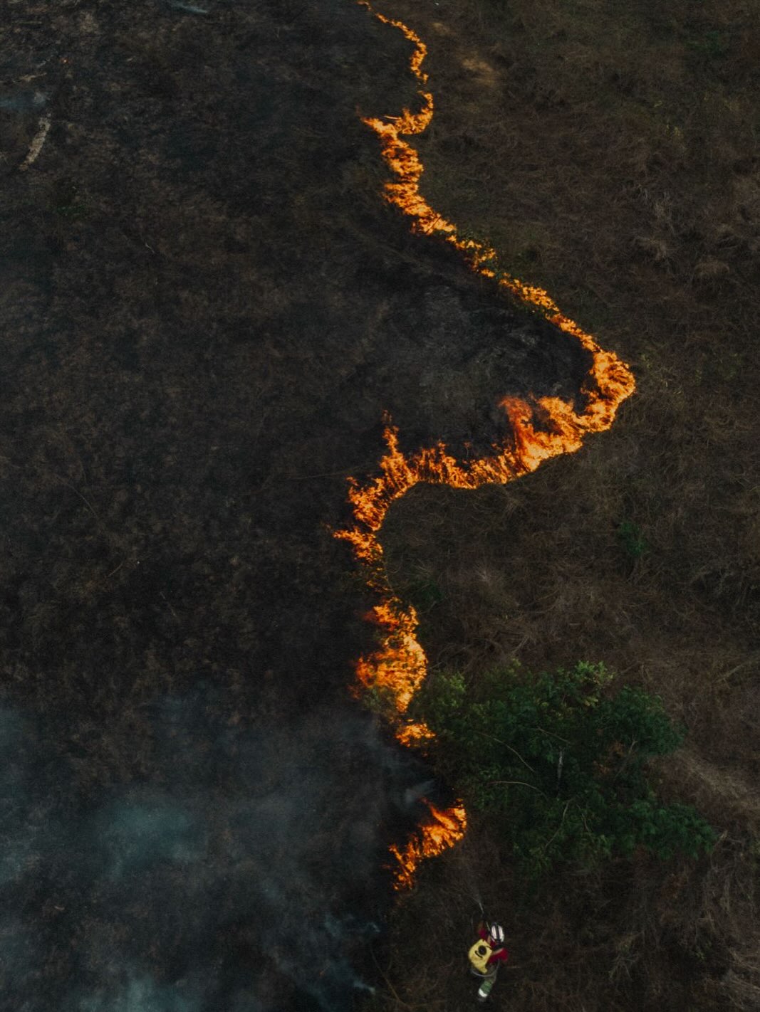 Vista aérea de uma linha de fogo na vegetação.